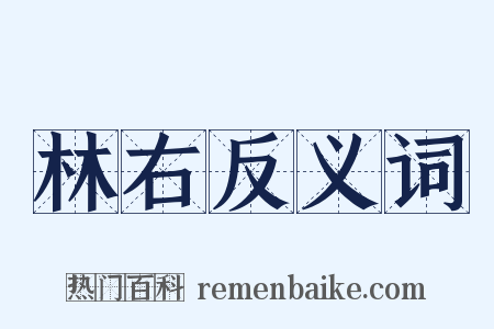 林右反义词是什么意思的图片